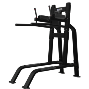 Leg Raise/Dip Model 9NP-B7517
