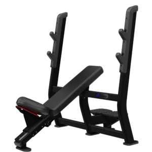 Incline Bench Press Model 9NP-B7203