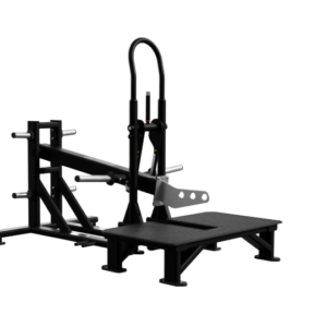 Belt Squat