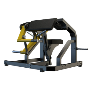 Biceps Curl D970Z