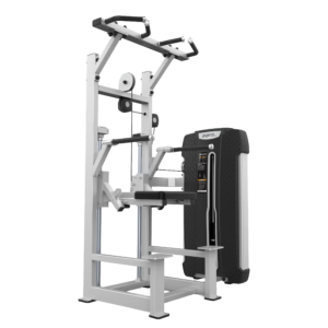 Dip Chin Assist E4009A