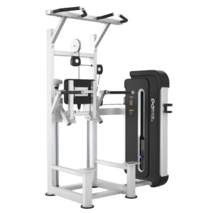 Dip Chin Assist H3009