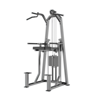 Dip Chin Assist J3009