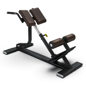 Back Extension Bench SBR—04