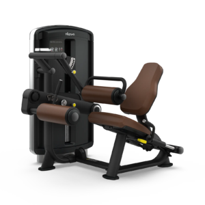 Seated Leg Curl