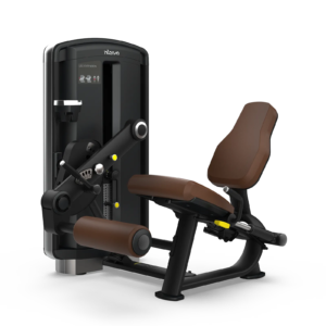Leg Extension