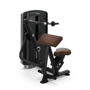 Triceps Extension