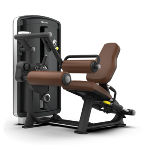 Leg Extension / Seated Leg Curl