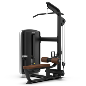 Lat Pulldown / Seated Row