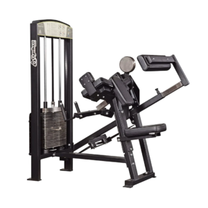 355 Biceps/Triceps