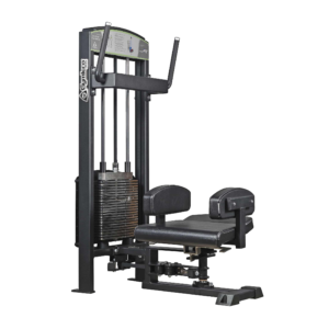 376 Knee standing Abdominal