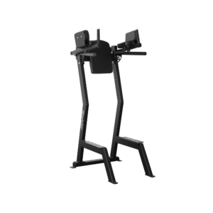 Leglift with Dip Bar