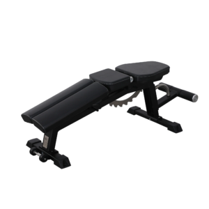 Adjustable Dumbbell Exercise Bench