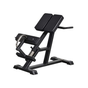 Back Raise 45 degrees
