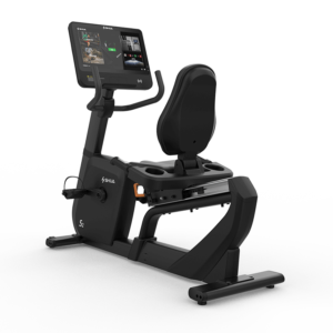 S2+ Series Recumbent Bike
