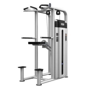 Dip Chin Assist U2009D