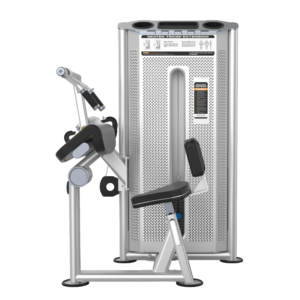 Triceps Extension U2028