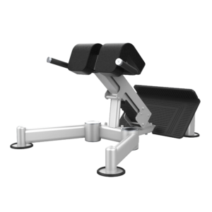 Back Extension U2045
