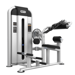Abdominal&Back Extension U2088D