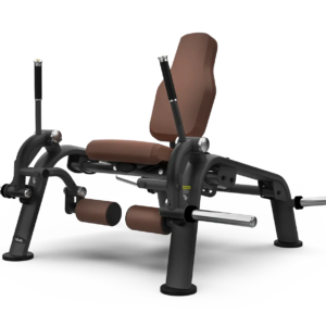 Leg Extension ZL—08
