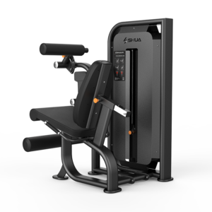 Seated Leg Curl/Extension SH-G6823