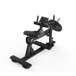 Seated Calf Raise SH-G6910