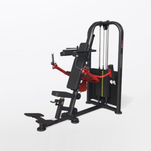 Seated ISO Tricep Extension