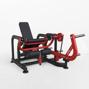 Leg Extension