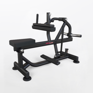Seated Calf Raise