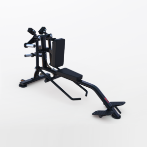 Bentover Lateral Raise