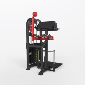 Standing Multi Rotary Biceps Curl