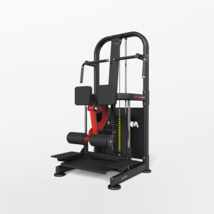 Standing ISO Multi Leg Curl
