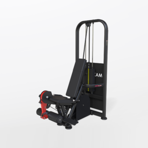 Classic Power Leg Extension
